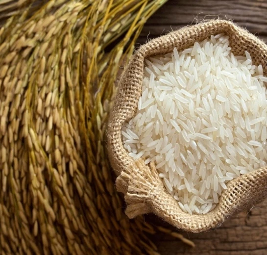 Lachkari / Surti Kolam Rice