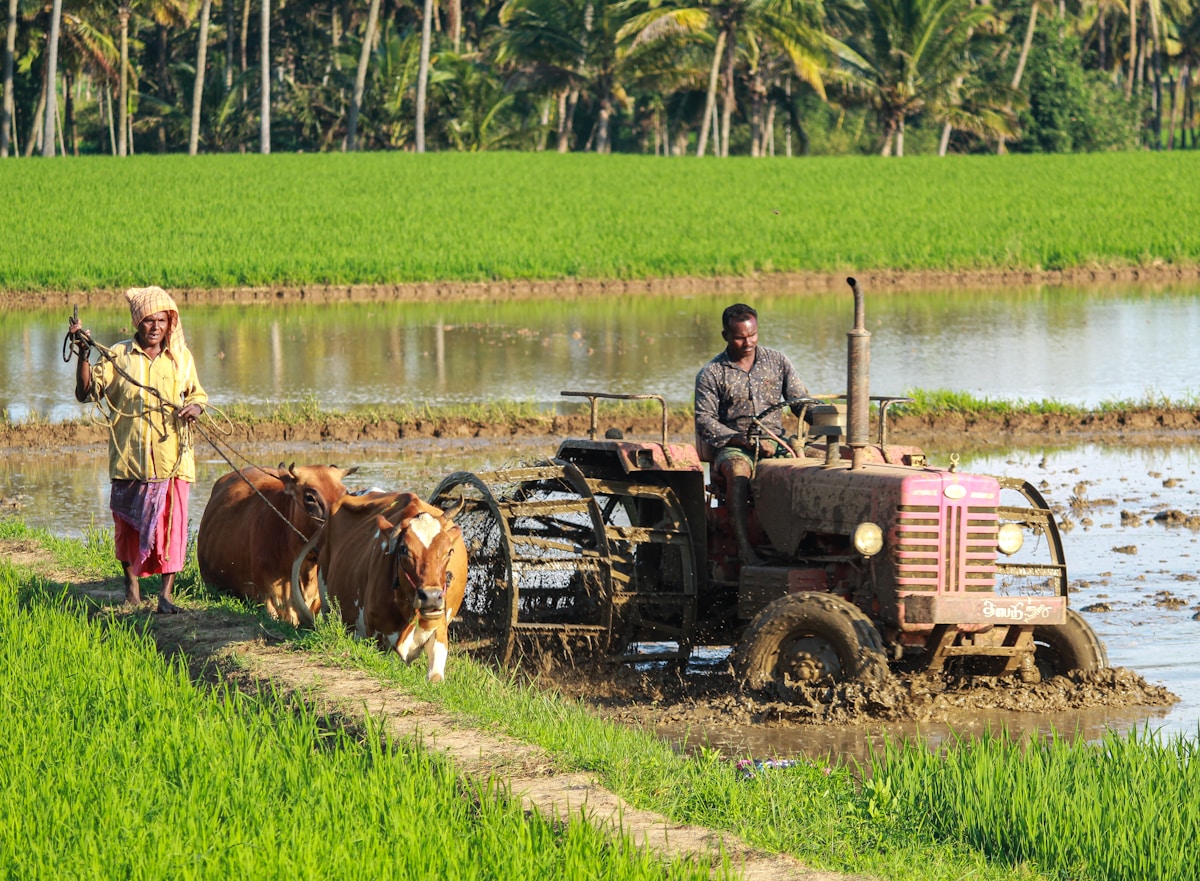 Field Sourcing